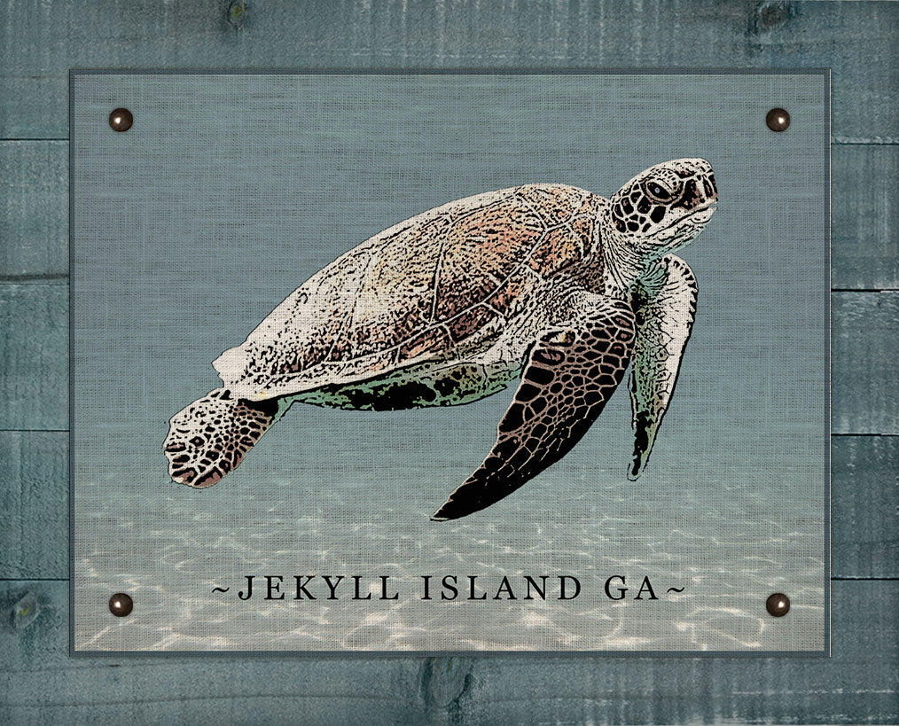 Jekyll Island Sea Turtle - Board Mounted Canvas Print