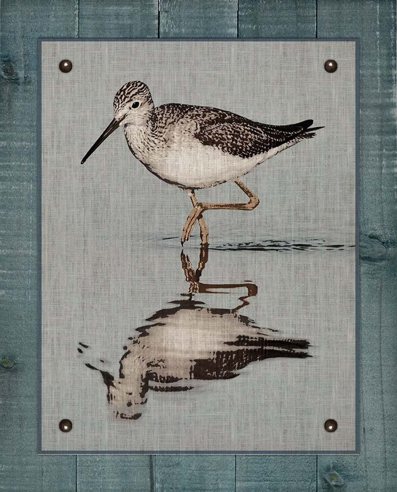 Dowitcher Shore Bird  - Board Mounted Canvas Print