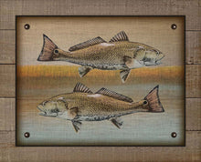 Load image into Gallery viewer, Redfish And Marsh - Board Mounted Canvas Print
