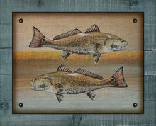 Load image into Gallery viewer, Redfish And Marsh - Board Mounted Canvas Print
